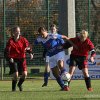 sc hartenfels torgau - bornaer sv 08.11.2015  9